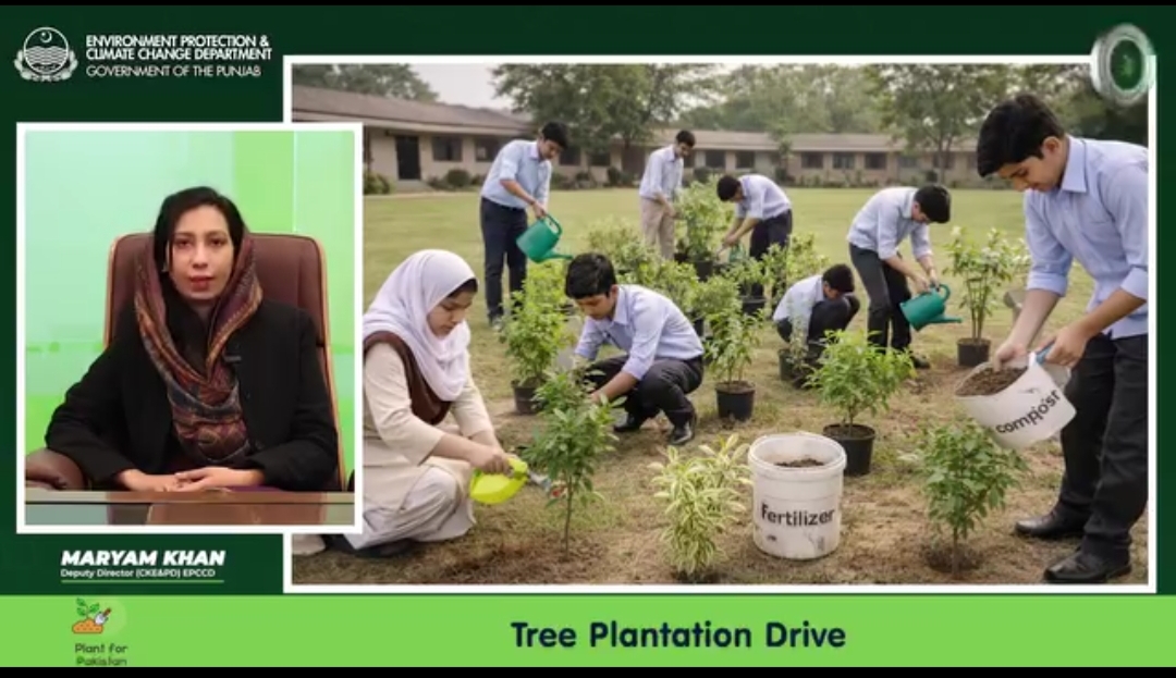 Tree plantation drive