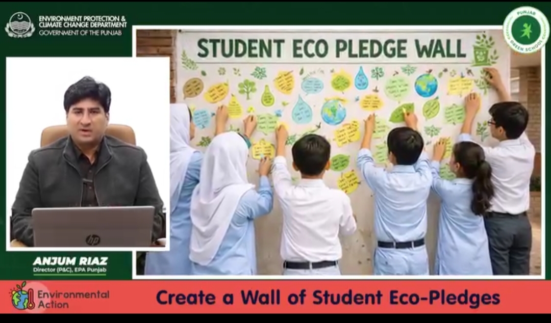 Create a wall of student eco-pledges