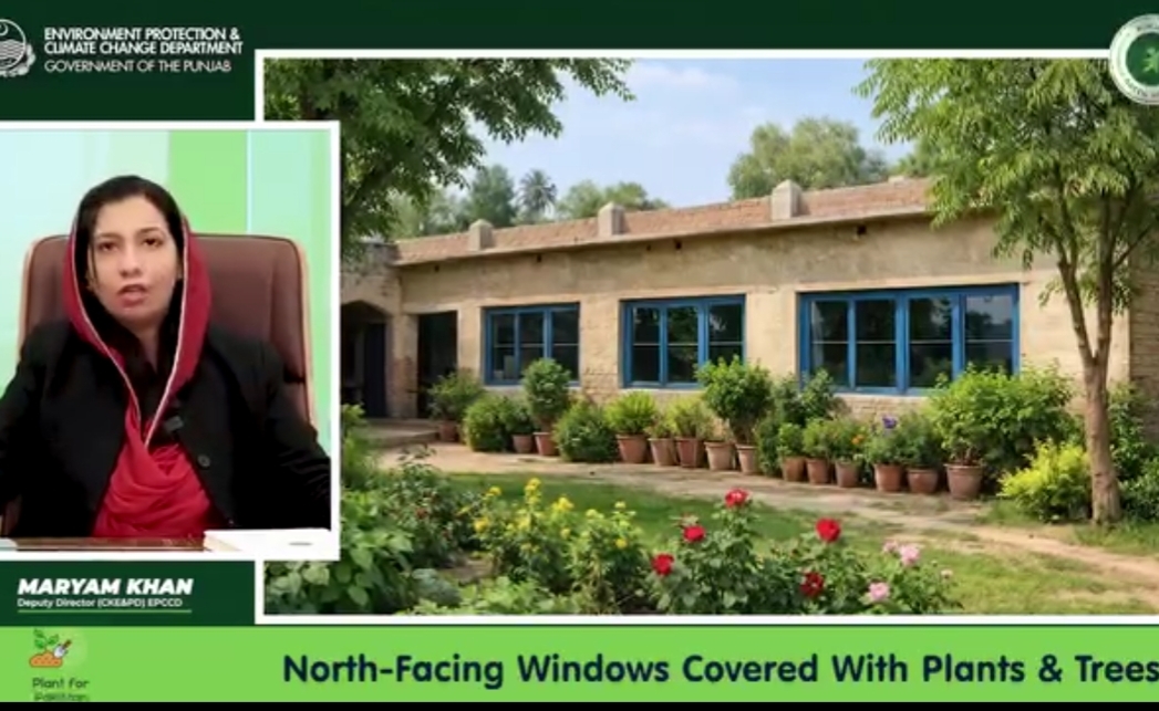 North-facing windows covered with plants/trees