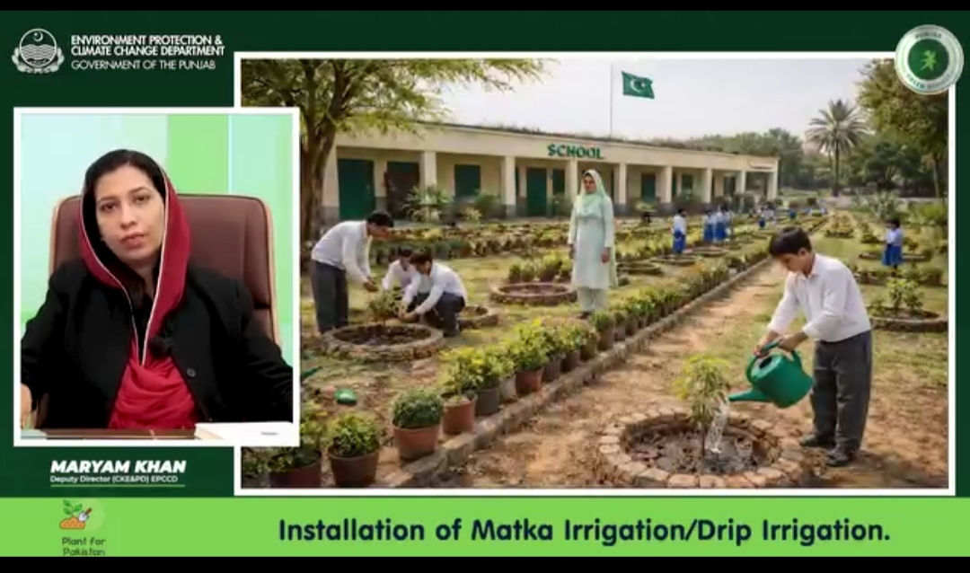 Installation of matka irrigation/Drip irrigation