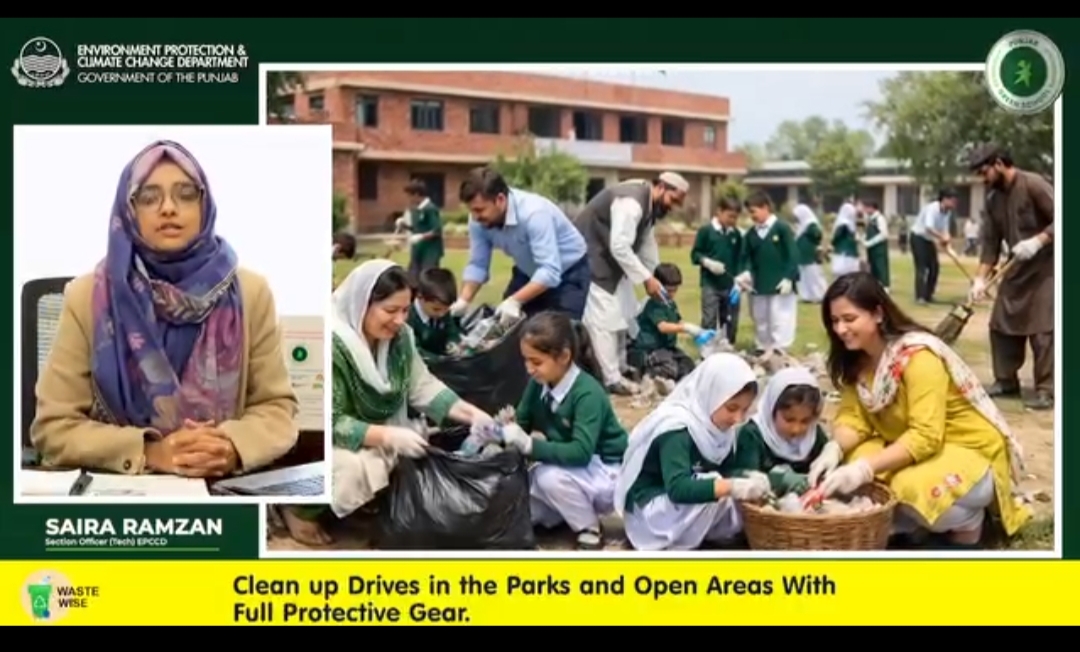 Clean up drives in the park and open areas with full protective gear